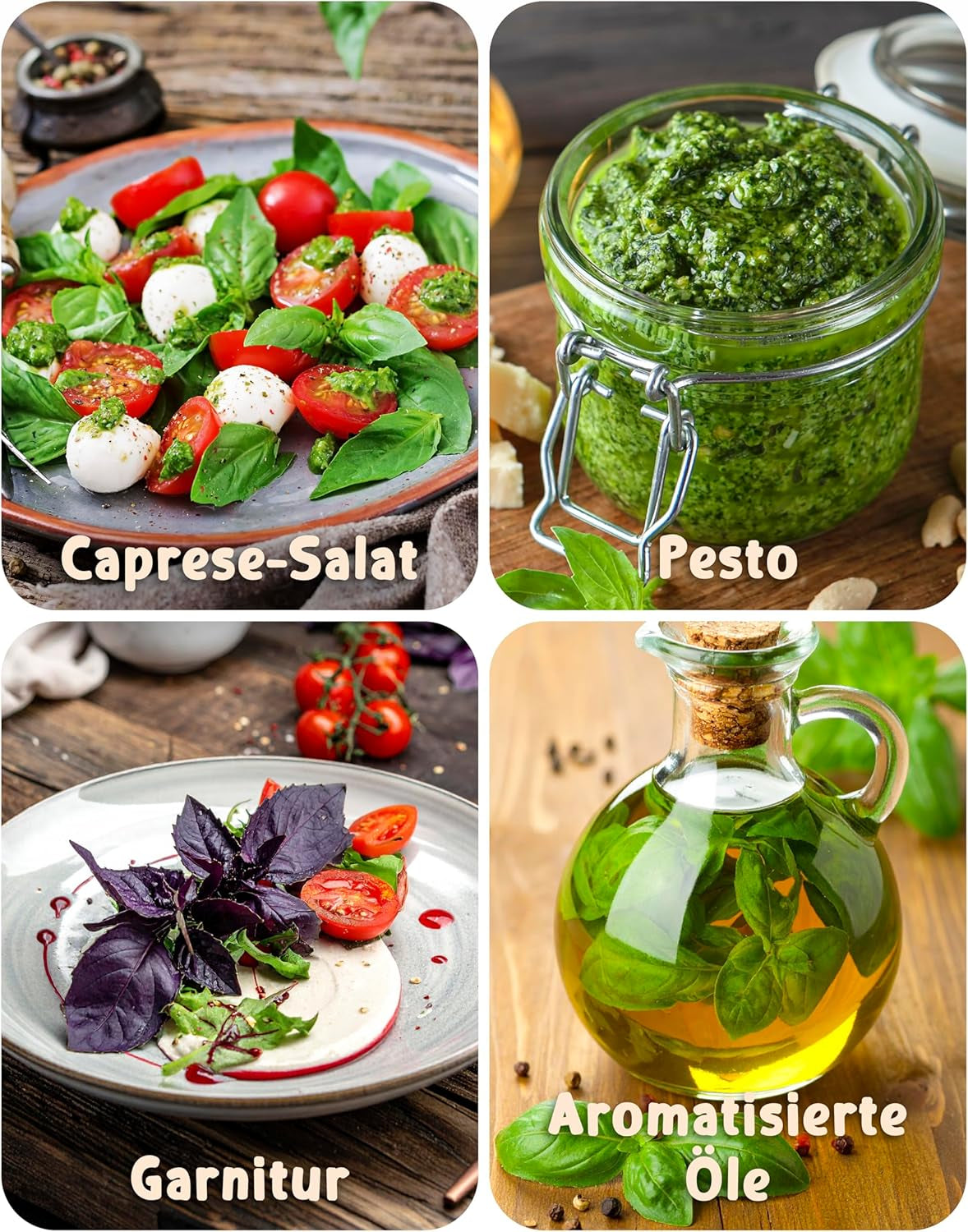 Semillas de Albahaca Orgánicas en un Juego de 6 - 6 Semillas de Albahaca para un fácil Cultivo en el jardín, balcón o Cama elevada - Semillas de Plantas - Plántulas