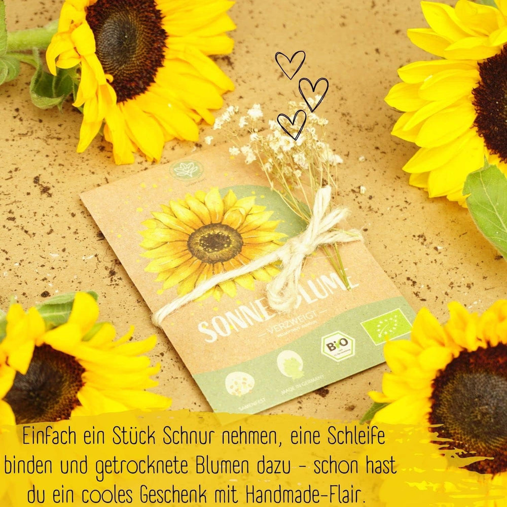 Pipas de girasol ecológicas, ramificadas, 20 pipas de girasol con alta tasa de germinación, pipas de girasol para jardín, balcón, parterre o regalo para invitados. Semillas de flores de polinización libre.