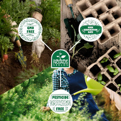 Nojus Set de Semillas de Flores - 10 Variedades de Semillas de Flores - Semillas de Flores para Balcón - Semillas de Plantas Coloridas - 10 Paquetes - Semillas de Flores Silvestres - Bolsitas de Semillas de Flores - Regalo Ideal de Semillas de Flores