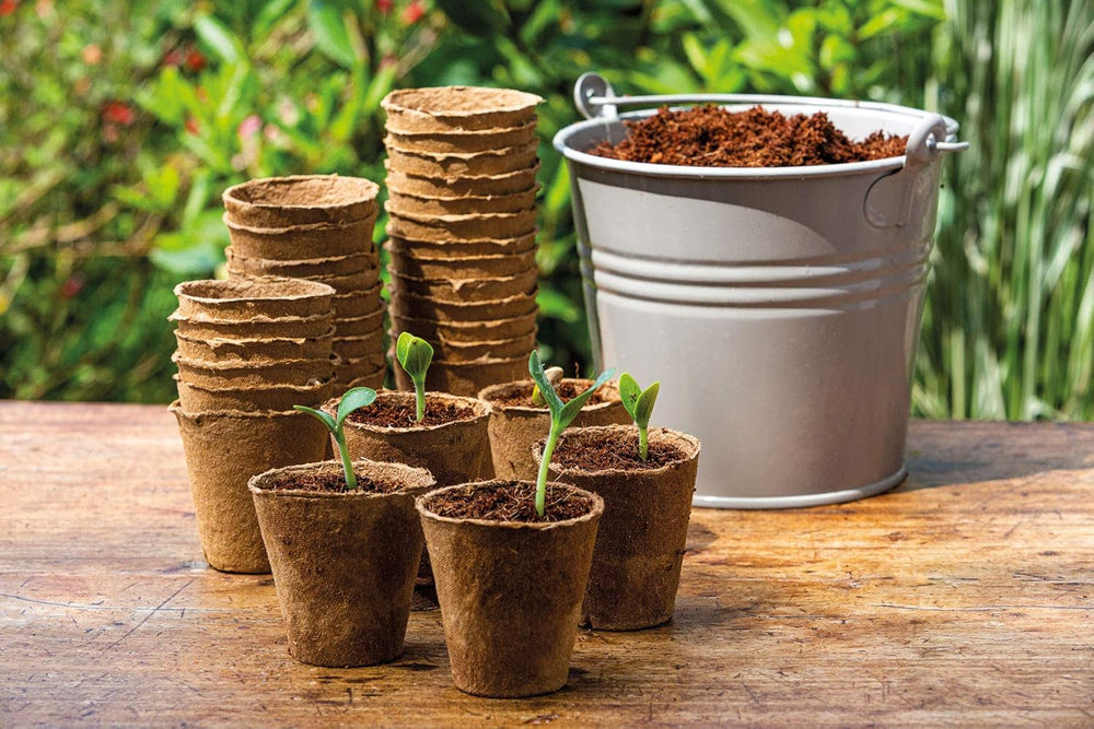 Ghivece pentru răsaduri de cocos Romberg 10091100 (ghivece pentru plante) Classic - 6 cm, rotunde, fără turbă, biodegradabile, 26 bucăți