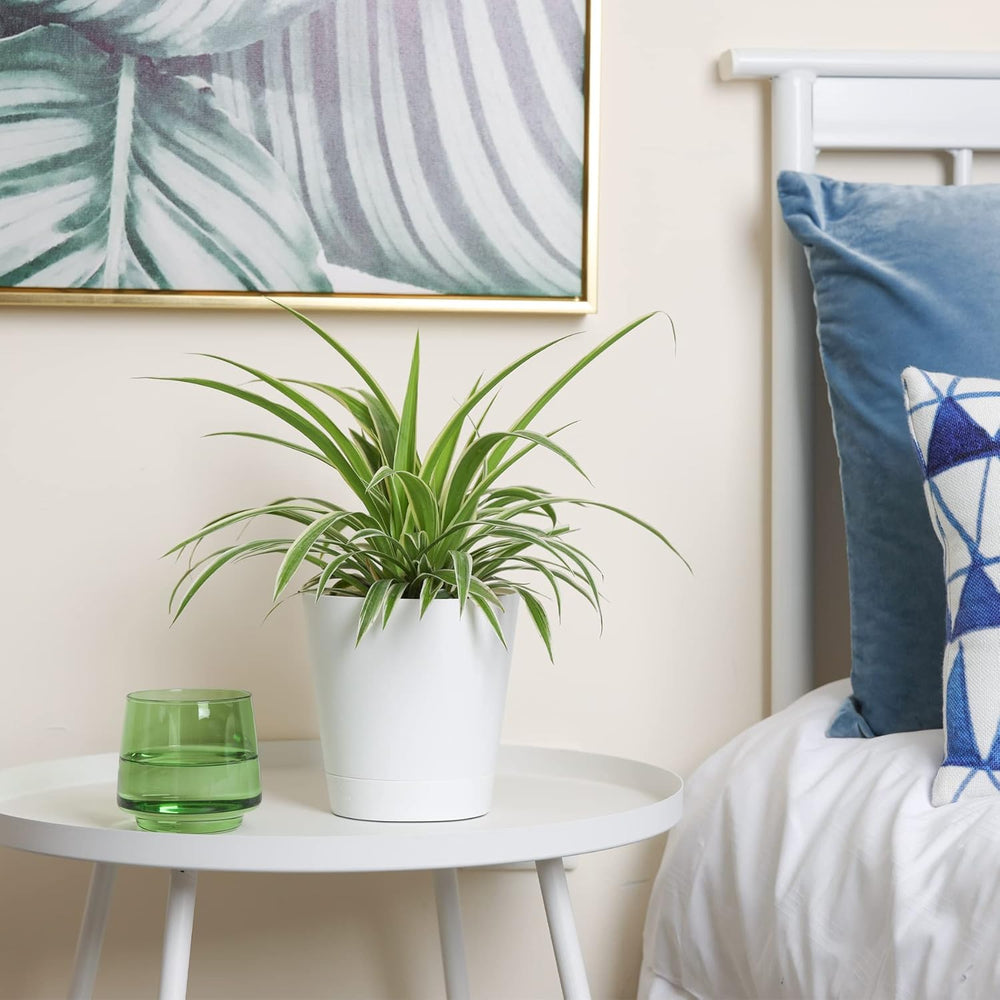 T4U Macetas de Plástico de 14 cm con Sistema de Riego, Juego de 6 Macetas y Platillos con Riego Automático, Macetas Redondas para Plantas de Jardín de Balcón Interior, Suculentas, Cactus, Blanco