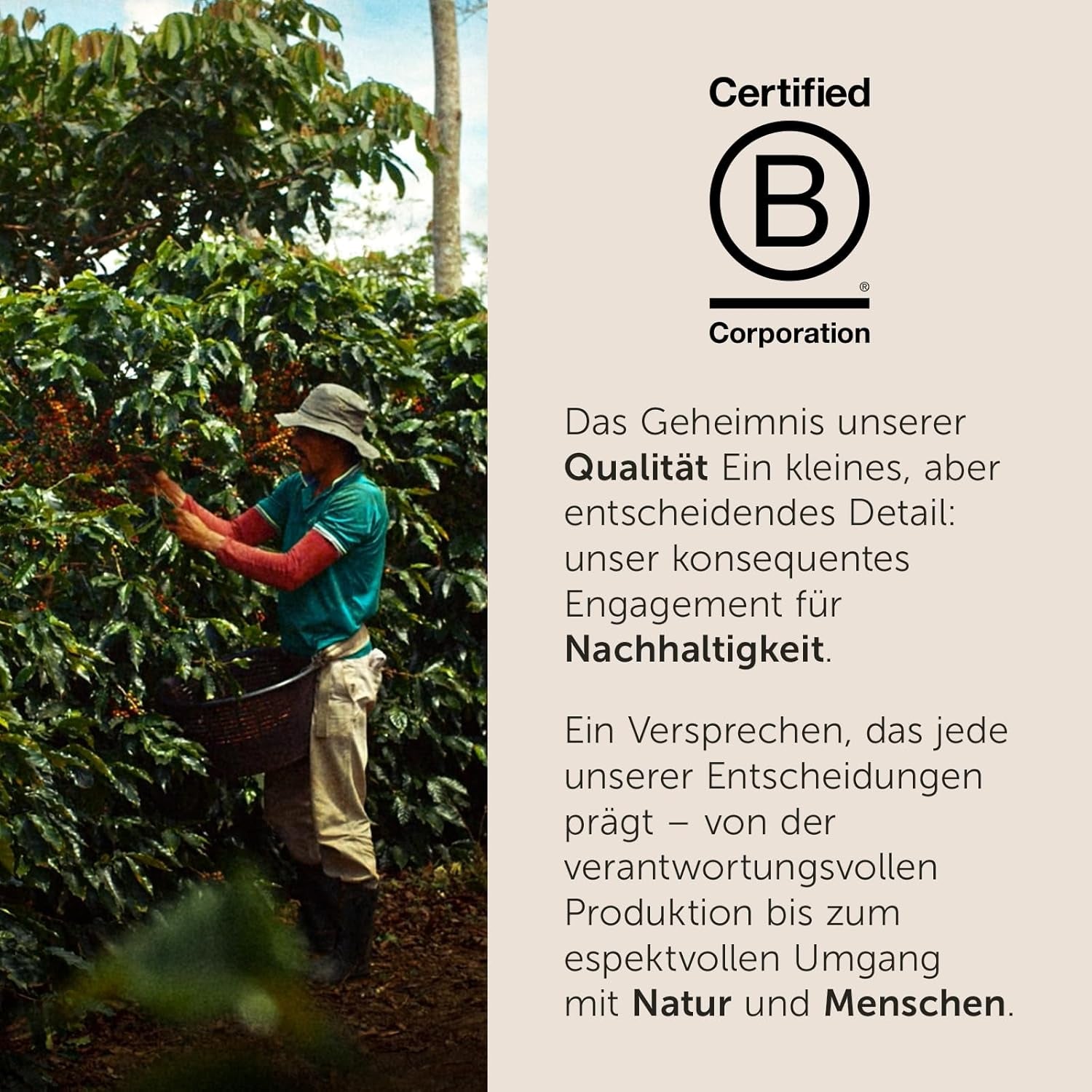 illy Iperespresso Kaffeekapseln klassische Röstung CLASSICO, Packung mit 100 Kapseln