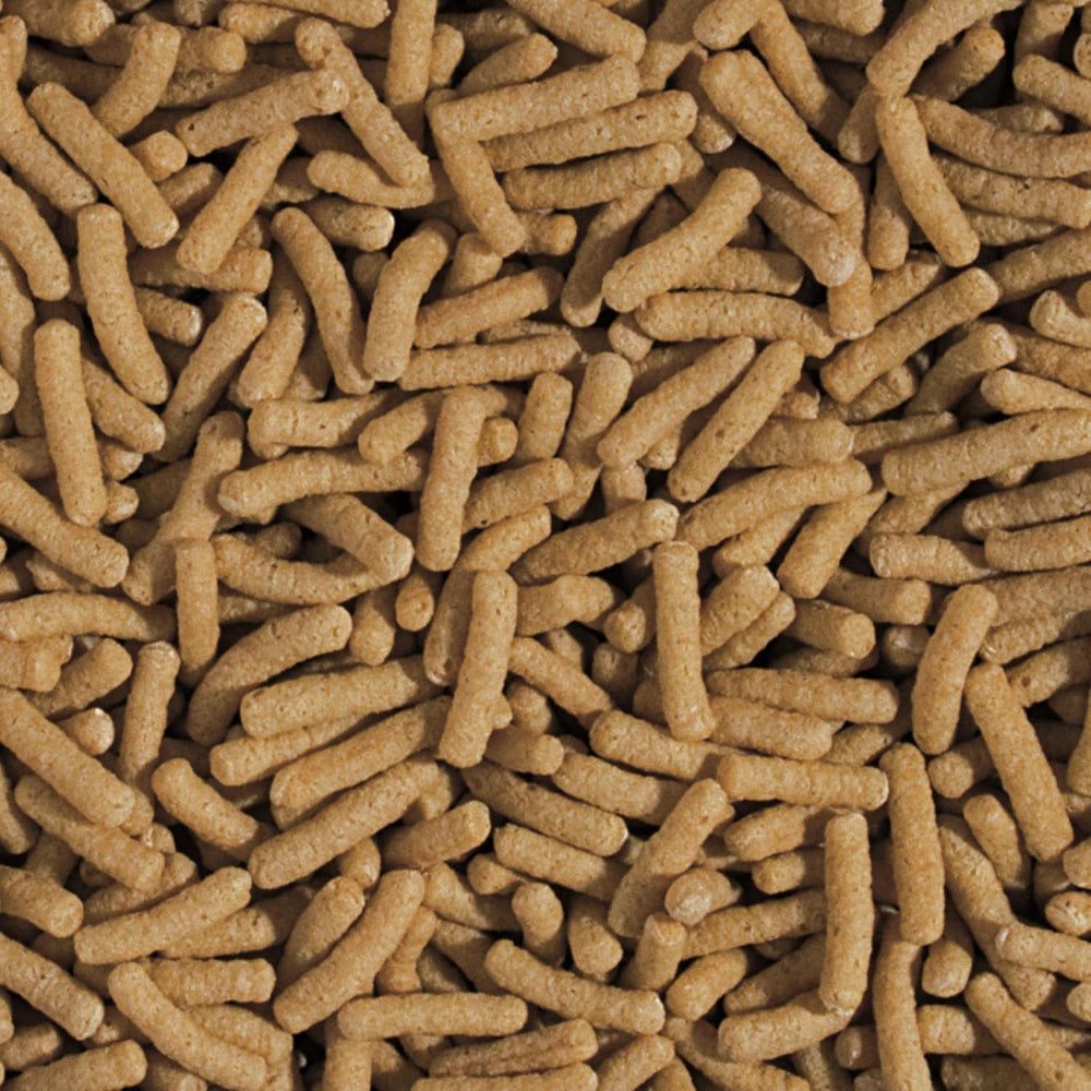 Germen de trigo y palitos de ajo KOI&Goldfish 5L / 430g - Alimento para peces de estanque para la alimentación diaria de peces koi en un amplio rango de temperaturas de 8 a 30°C