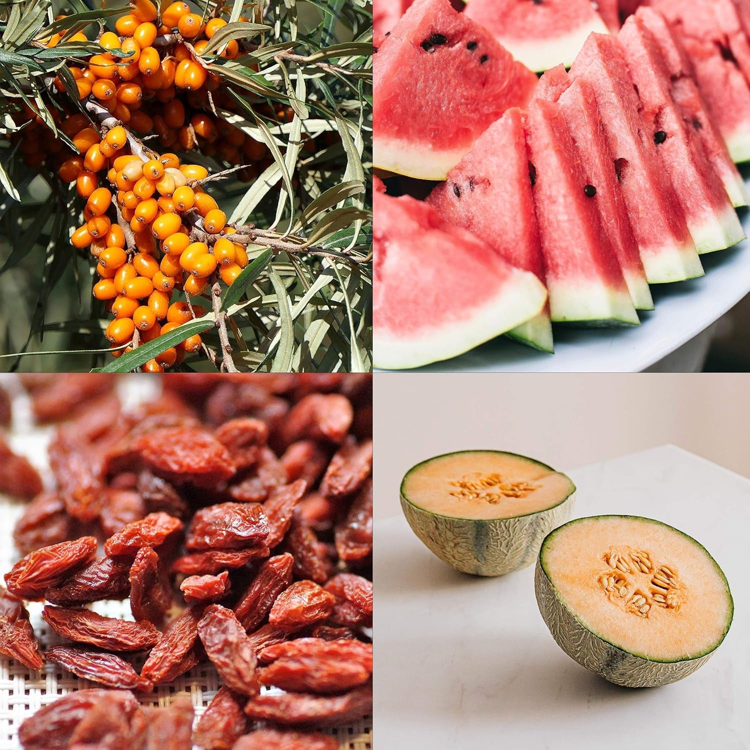 Set de semillas de frutas: Semillas de jardín premium con 8 variedades de plantas frutales para jardín y balcón - Semillas de sandía, semillas de fresa, grosellas, ruibarbo y más - Set de regalo de semillas de frutas de OwnGrown