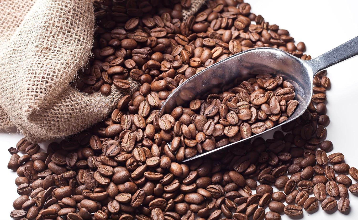 Nicaragua Maragogype 500g  (ganze Bohne)