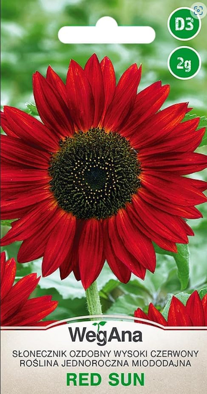 Cosmos Sensation Mix 1g semillas, Cosmos Mix Flores de verano, Plantas de jardín Plantas de balcón, Semillas de flores