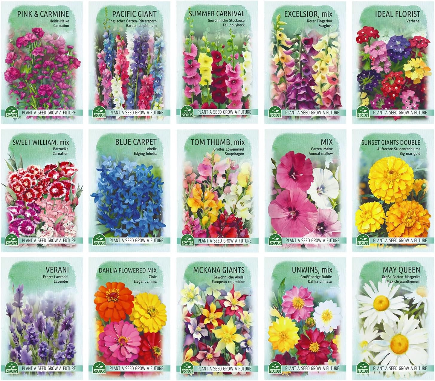 Nojus Set de Semillas de Flores - 15 Paquetes de Semillas de Flores - Semillas de Flores de Jardín - Semillas de Plantas Coloridas - Semillas de Flores Silvestres - 15 Variedades de Semillas de Flores - Regalo Ideal de Semillas de Flores