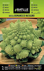 Batlle Gemüsesamen - Brokkoli Romanesco Natalino (Samen)