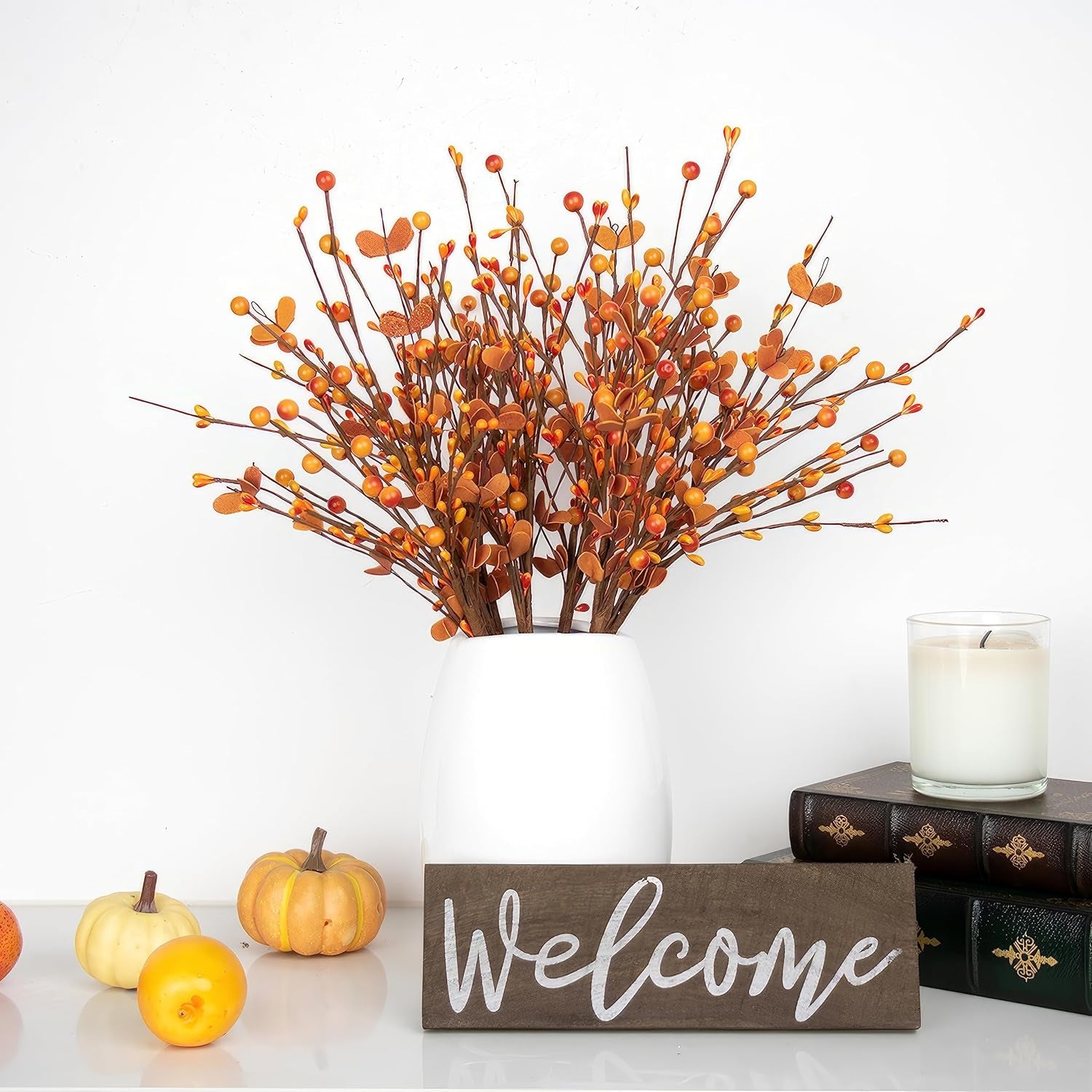 Herbstbeeren-Plektren (Rote Orangefarbene Beeren Und Blätter)