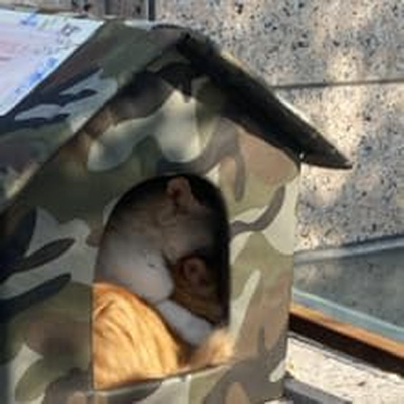 Pături & Mobilier, Animale de companie, Peșteri & Case, Pisici, Paturi pentru pisici, Pisici - culcusuri, saltele