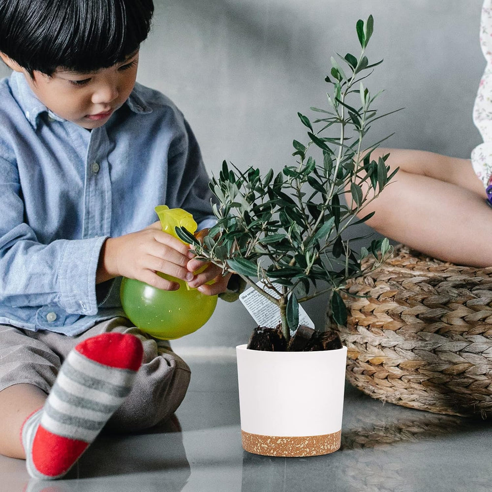 Juego de 2 macetas de 12,7 cm, macetas de interior con orificios de drenaje y base extraíble, platillos decorativos modernos para maceteros de jardín al aire libre (blanco 12,7 cm)