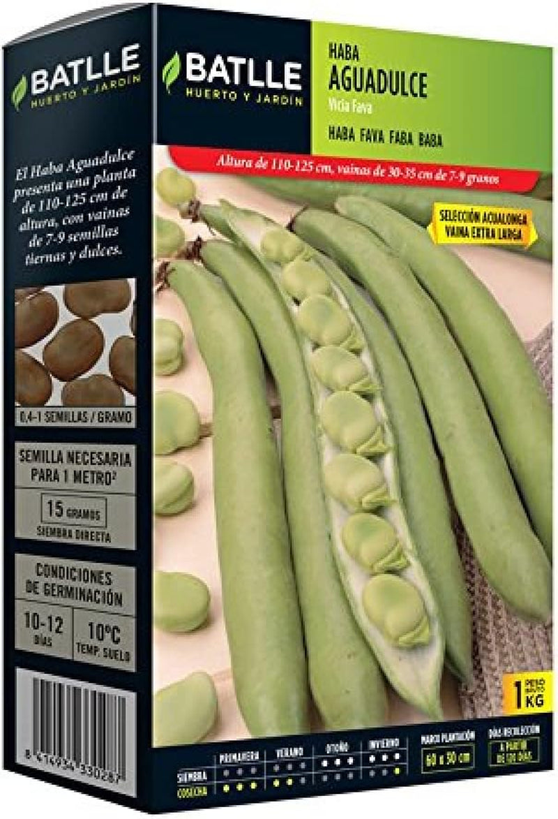 Samen Batlle – Haba Frühe Bohne Carmen, Lang 1 Kg