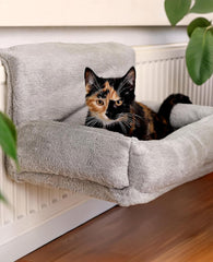 Paturi, cuverturi & mobilier, animale de companie, pisici, paturi pisici, Pisici - culcusuri, saltele