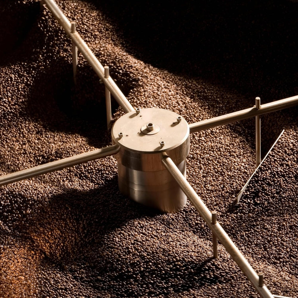 NIK CAFE' - Miscela Ristretto - Boabe de cafea prăjite, Majestatea Sa Ristretto în Italia - Câștigător al premiului de aur la World Class Food and Beverage - Arabica și Robusta