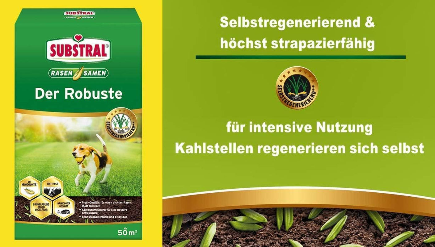 Substral Rasensamen Der Robuste, 1 Kg Für 50 M² - Sport- Und Spielrasen, Einzigartige Strapazierrasen-Mischung