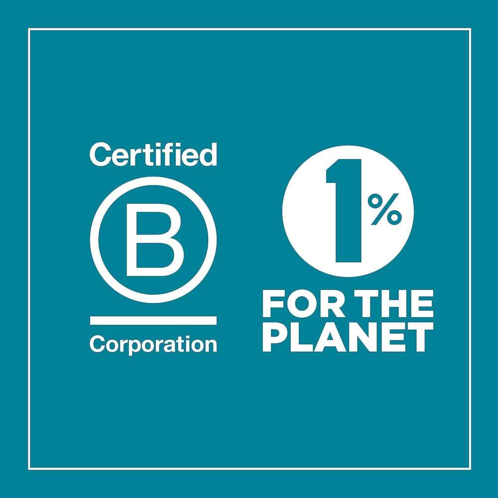 U Konserve - Recipient dreptunghiular împărțit pentru alimente din oțel inoxidabil cu capac din silicon - Island Teal - 28oz / 825ml Cutii depozitare alimente Naty Shop