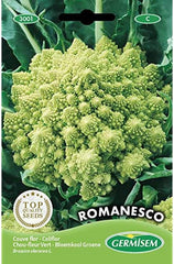 Blumenkohl ROMANESCO, Mehrfarbig, EC3001