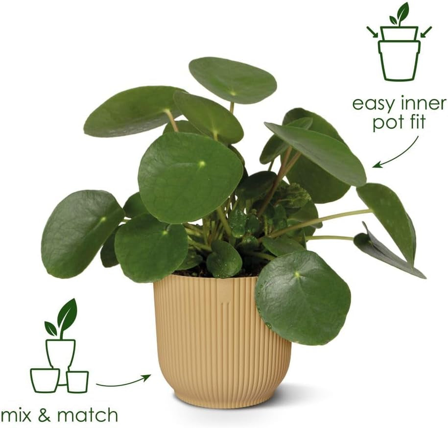 Ghiveci elho Vibes Fold Round 14 - Ghiveci de flori de interior - Plastic 100% reciclat - Ø 14,1 x H 12,9 cm - Verde/Verde Sorbet