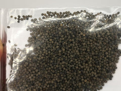 1000 semillas de amapola de California (Eschscholzia californica), pradera de flores silvestres, pasto de abejas.