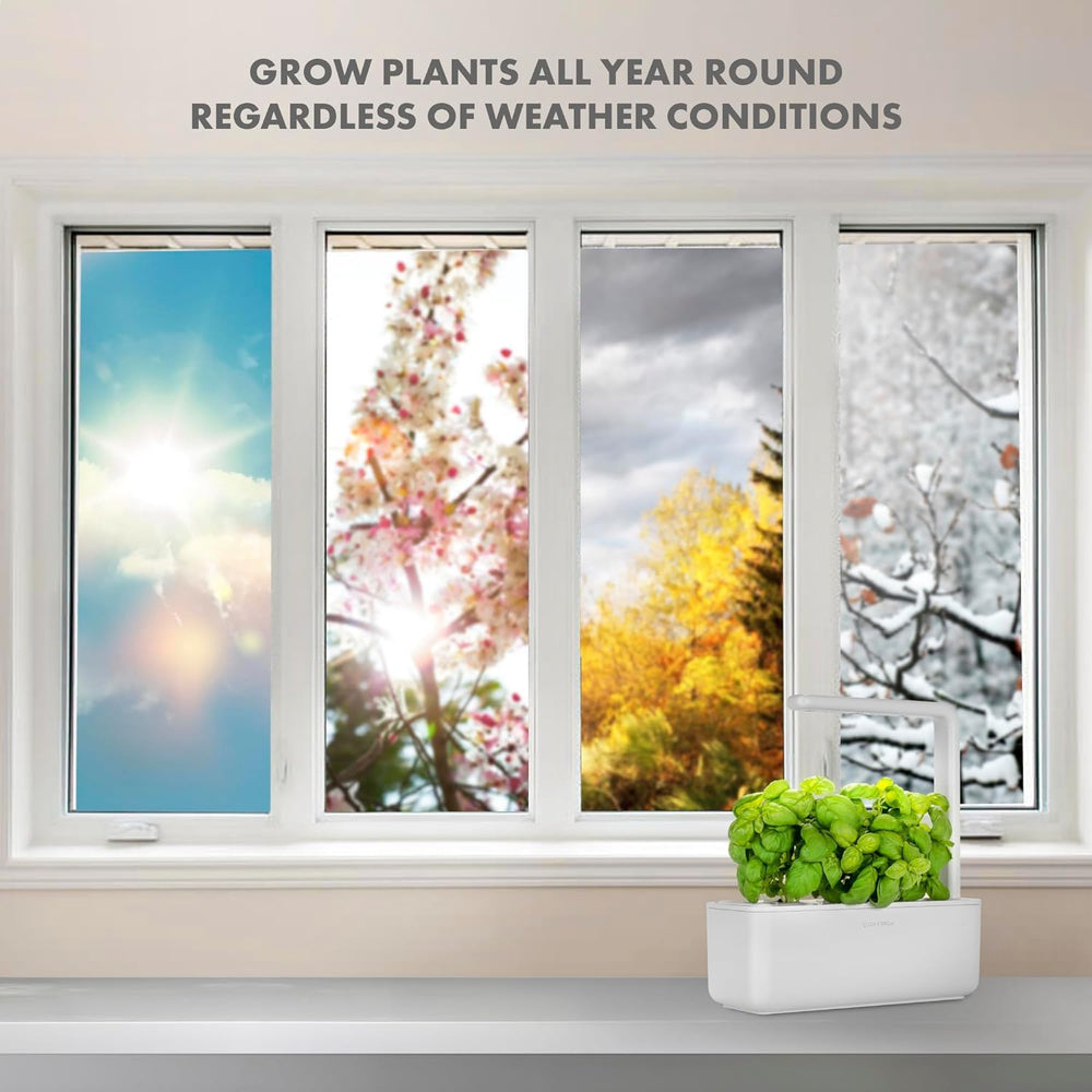 Click and Grow Growbox, Smart Garden, más fácil que el sistema de cultivo hidropónico, jardín interior, jardín de hierbas, invernadero interior con 3 cápsulas vegetales incluidas, color blanco