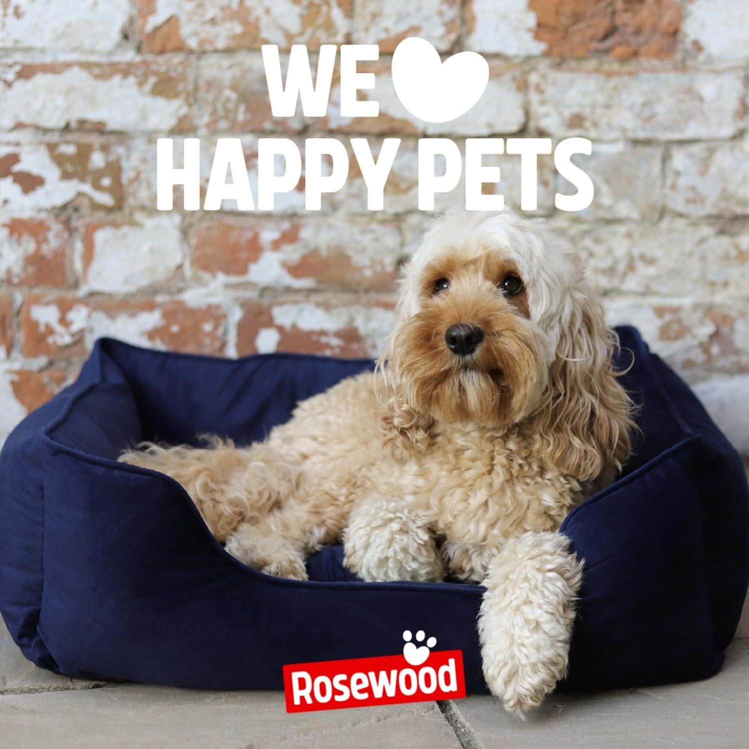 Paturi & Canapele, Pături & Mobilier, Animale de companie, Pisici, Paturi pentru pisici, Pisici - culcusuri, saltele