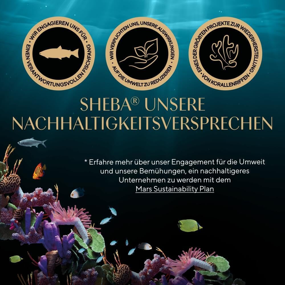 Sheba Portion Pouches Hrană umedă pentru pisici, pachet multiplu Fresh & Fine în sos cu pui și somon MSC, 6x6x50g - Mese rafinate pentru pisici în sos