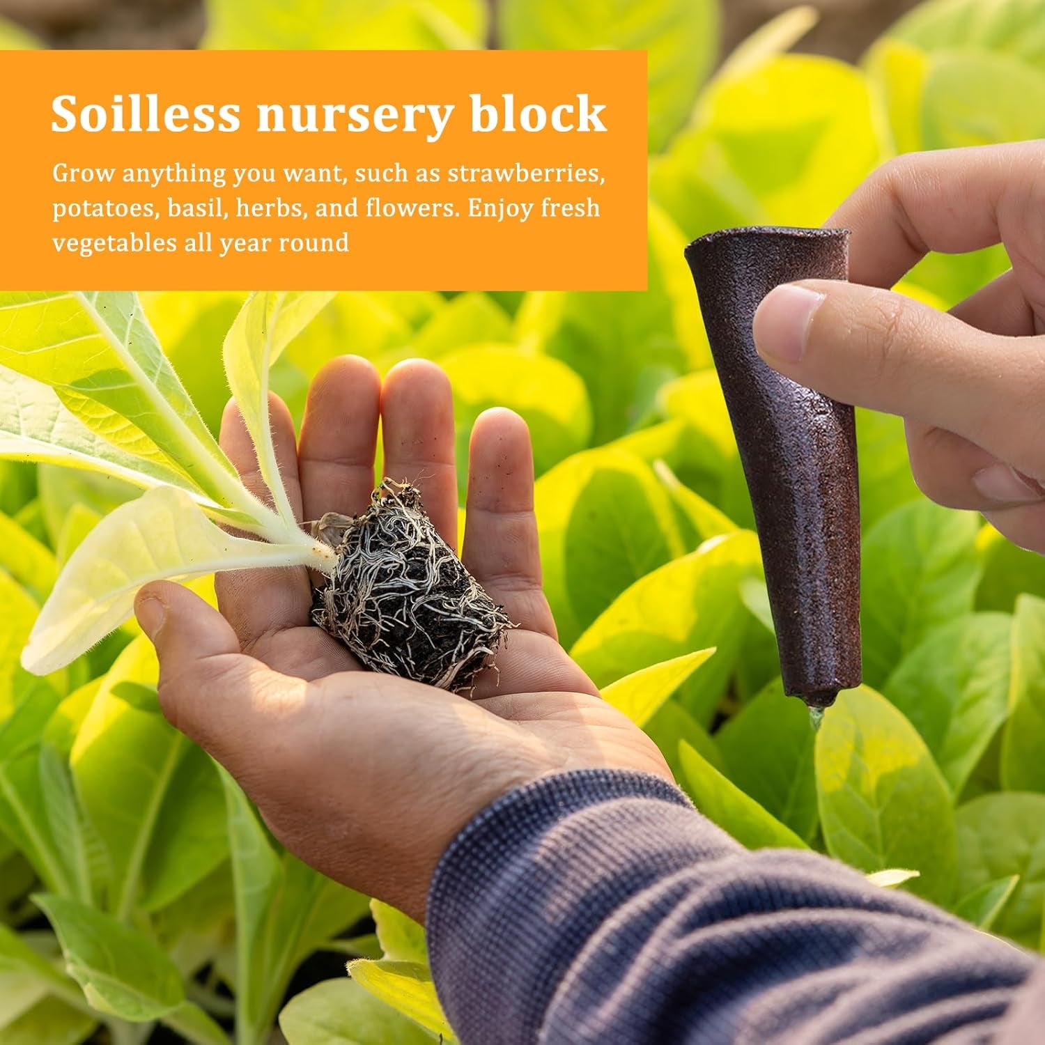 50 esponjas de cultivo hidropónico, esponjas de plántulas hidropónicas, tapones de esponja para cultivo de raíces, adecuados para varios tipos de cogollos, como tomate, fresa y menta
