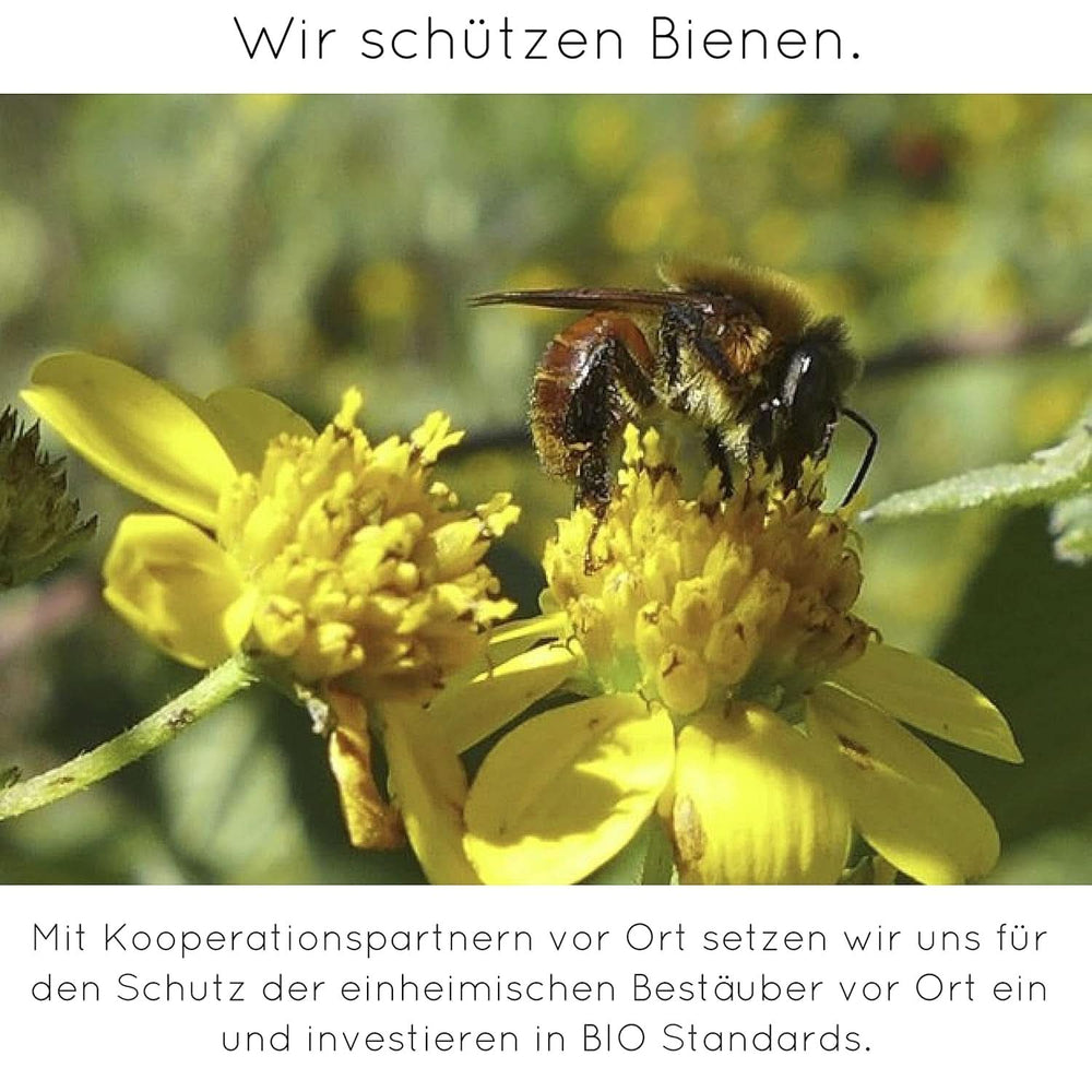 Vainilla en polvo premium de auténticas vainas de vainilla, natural, sin azúcar, sin aditivos, de comercio justo, vegana (40 g sin caja) de Vanilla Campaign® Flavors Naty Shop