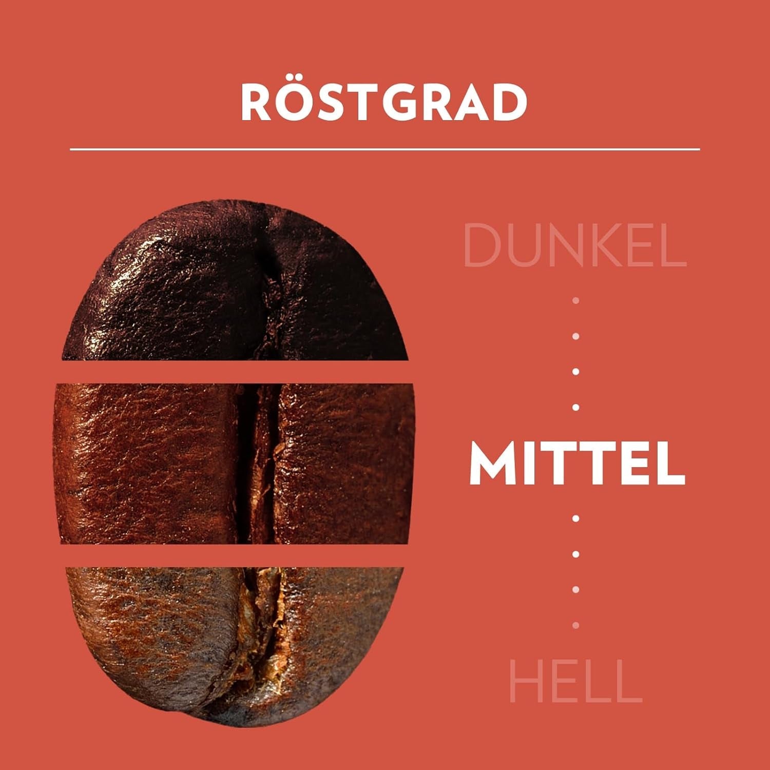 Lavazza, Tales of Roma, café en grano, ideal para máquinas de café Espresso, con notas de aroma a avellana y chocolate negro, Arábica y Robusta, 250 gramos Café Naty Shop