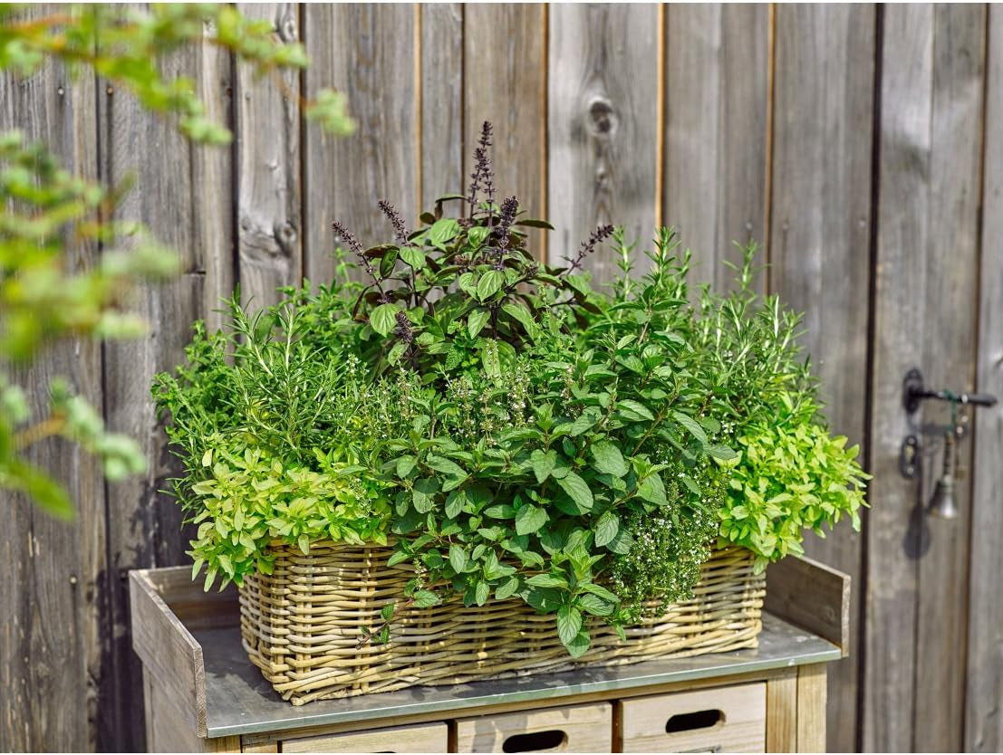 Ghiveci Dehner din ratan, aprox. 40 x 23 x 20 cm, țesătură de ratan, gri/maro