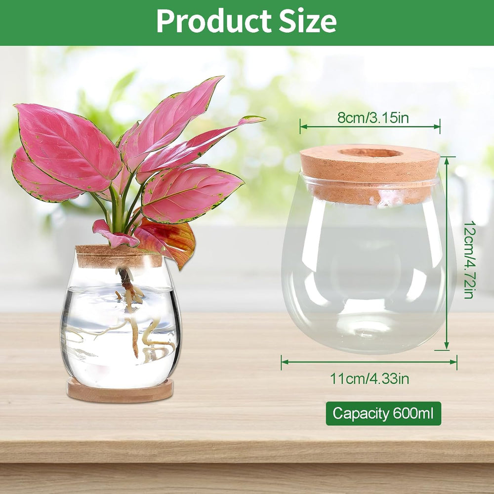 Estación de cultivo de plantas hidropónicas 12x11cm Florero de semillas de aguacate Macetero de vidrio Florero de vidrio hidropónico para plantas acuáticas o flores Decoración de mesa de escritorio 2 piezas