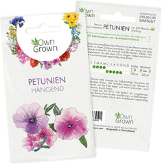 Semillas de petunia: Semillas de petunia de primera calidad para alrededor de 400 plantas de petunia – Hermosas semillas de petunia para plantas de balcón y jardín – Semillas de flores – Semillas de petunia enredadera – Flores de balcón de cultivo propio