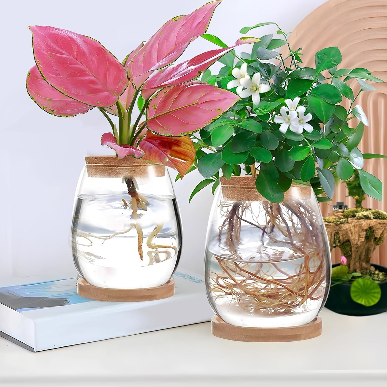 Estación de cultivo de plantas hidropónicas 12x11cm Florero de semillas de aguacate Macetero de vidrio Florero de vidrio hidropónico para plantas acuáticas o flores Decoración de mesa de escritorio 2 piezas