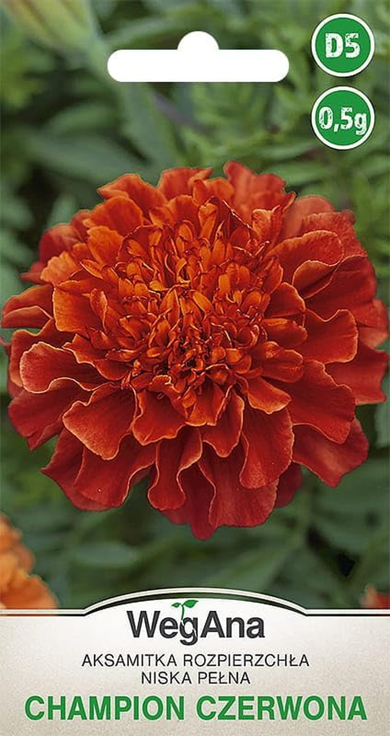 Cosmos Sensation Mix 1g semillas, Cosmos Mix Flores de verano, Plantas de jardín Plantas de balcón, Semillas de flores