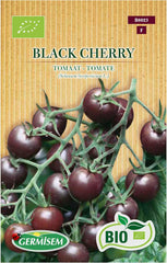 Tomate Black Cherry