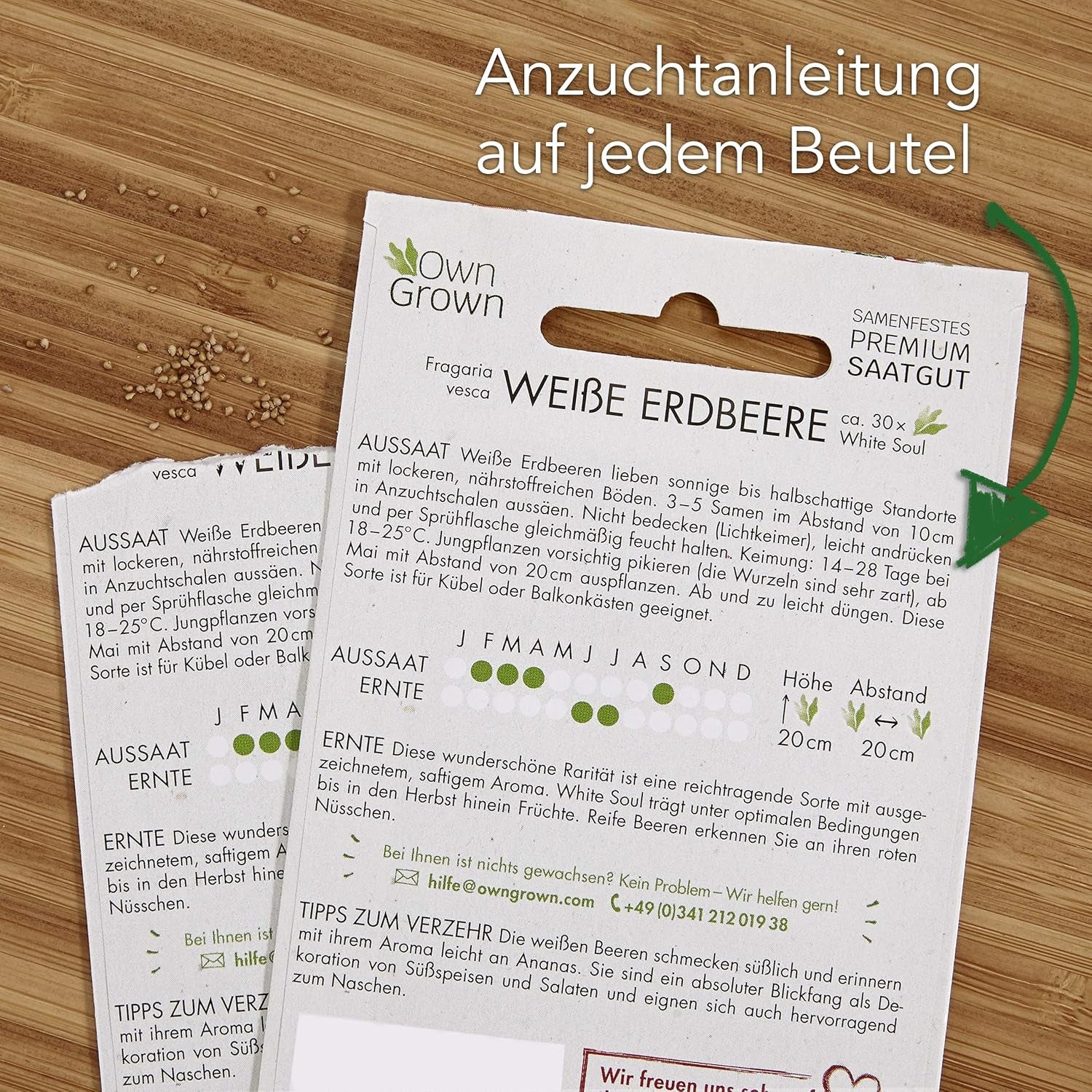 Set de semillas de frutas: Semillas de jardín premium con 8 variedades de plantas frutales para jardín y balcón - Semillas de sandía, semillas de fresa, grosellas, ruibarbo y más - Set de regalo de semillas de frutas de OwnGrown