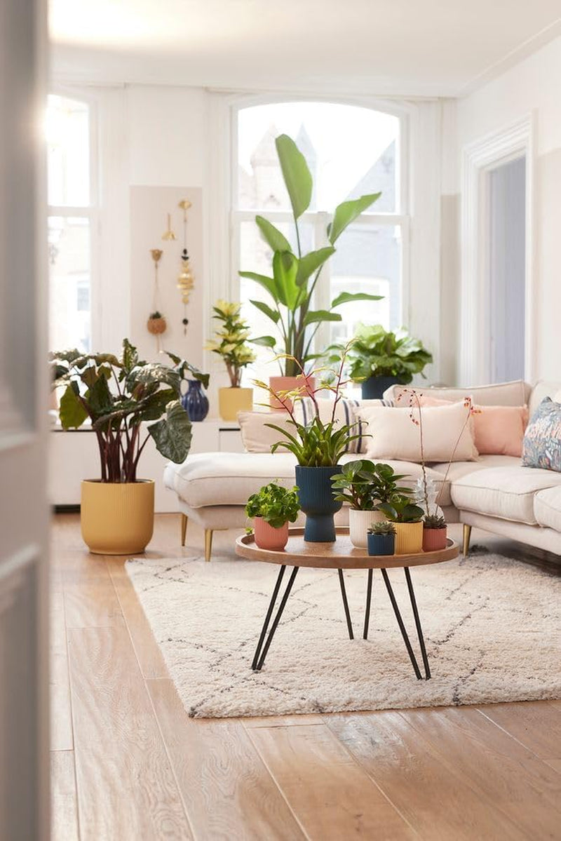 Ghiveci elho Vibes Fold Coupe 14 - Ghiveci de flori de interior - Plastic 100% reciclat - Ø 13,9 x H 21,0 cm - Alb/Alb mătăsos