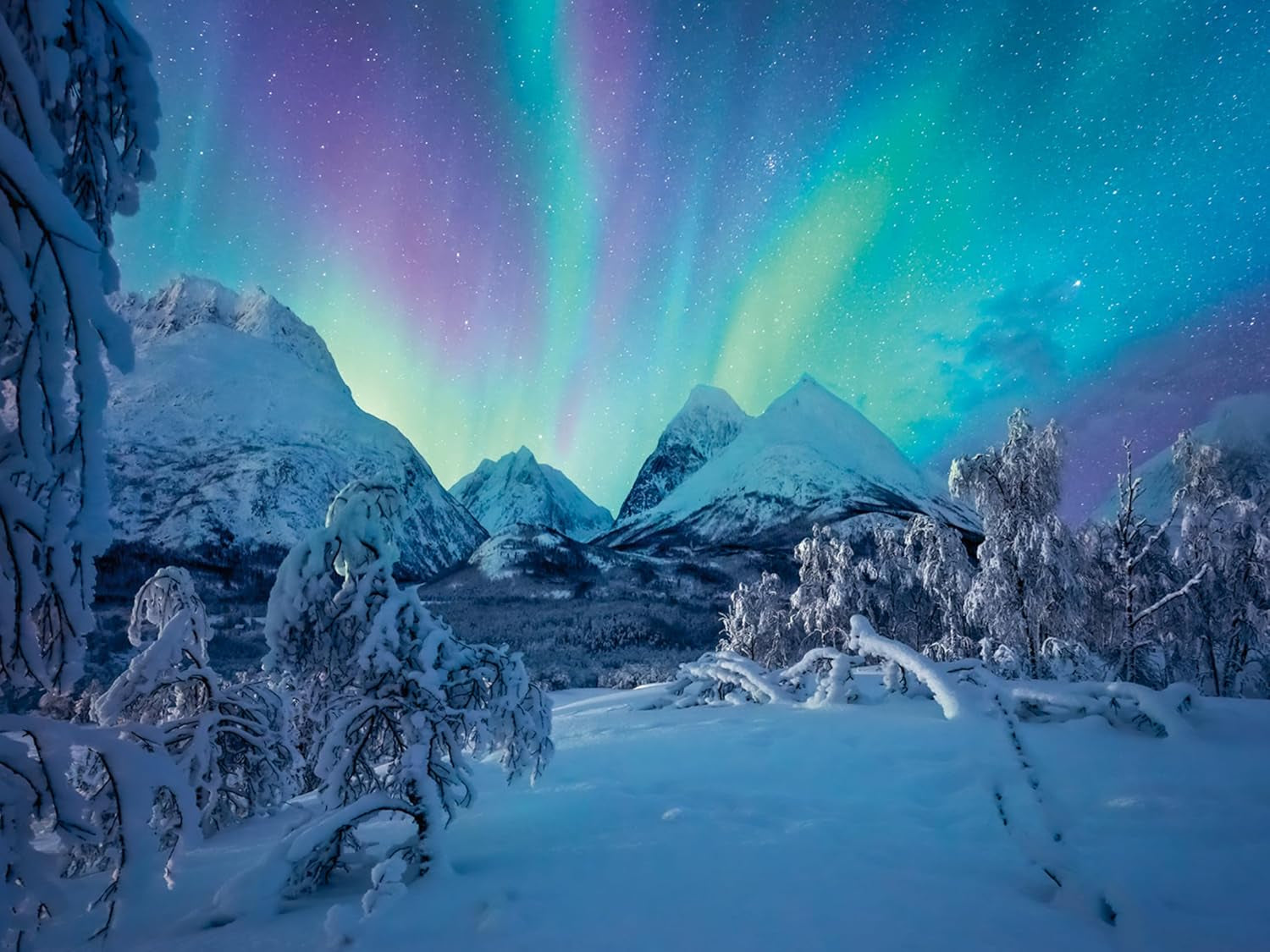 Ravensburger Puzzle 12000802 - Wenn Die Nordlichter Tanzen - 1500 piese puzzle jigsaw pentru adulți cu vârsta de peste 14 ani Puzzle Naty Shop Titlu implicit