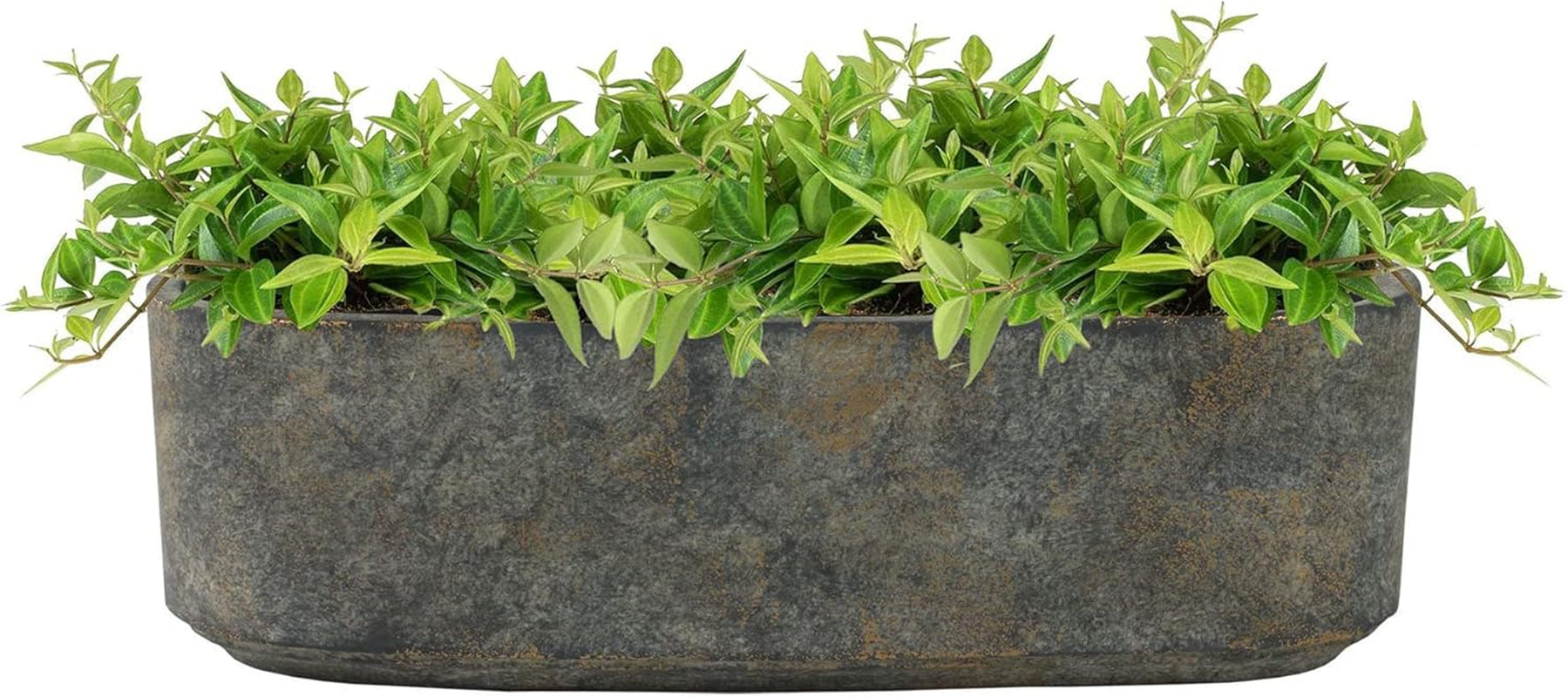 Ghiveci ceramic, model geometric în formă de lămâie, 12 x 12 cm