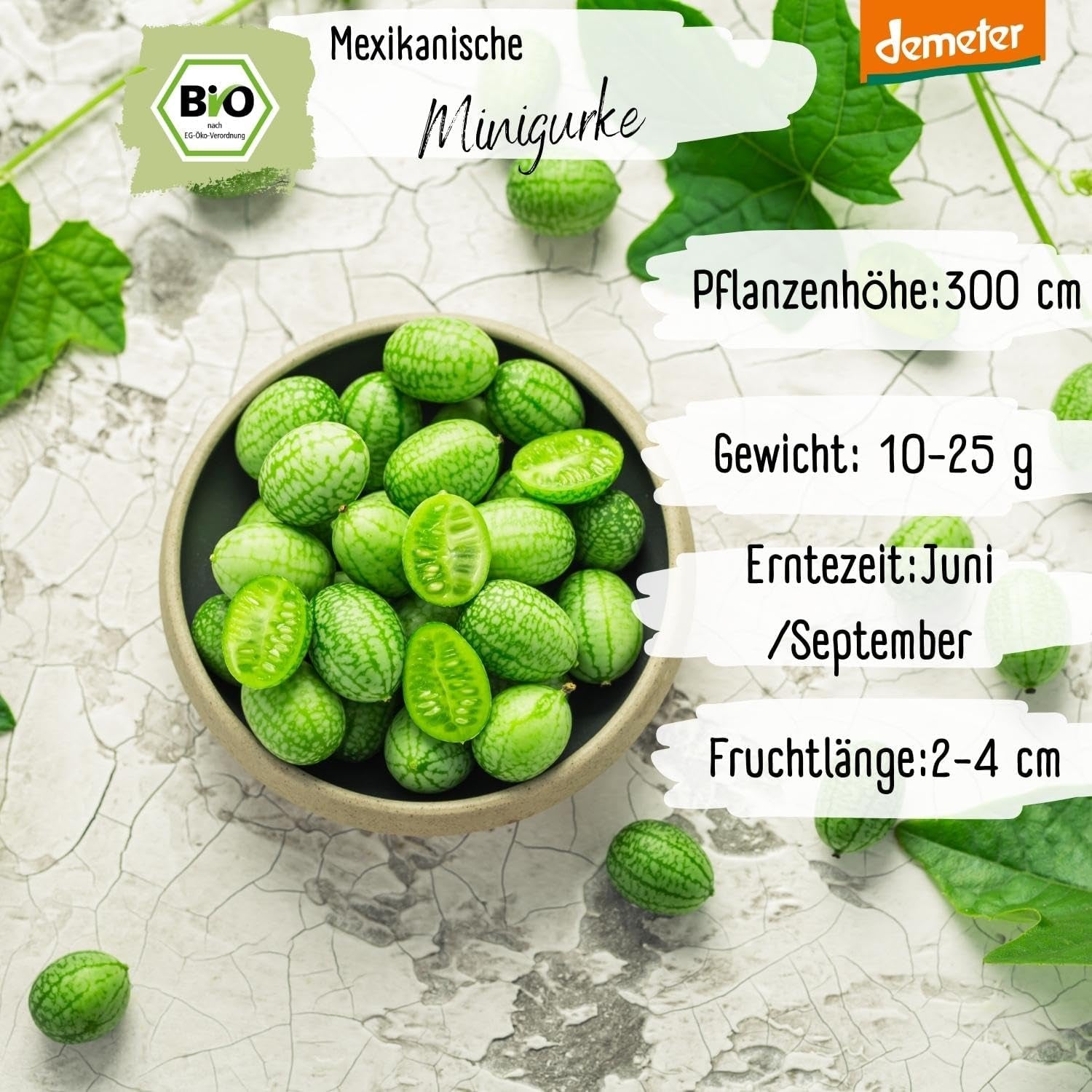 Mini semillas orgánicas de pepino mexicano, 10 semillas de pepino snack, alta tasa de germinación, certificación Demeter y polinización abierta | LOVEPLANTS Balcón Jardín Cama elevada Semillas de hortalizas - Variedades de hortalizas tradicionales