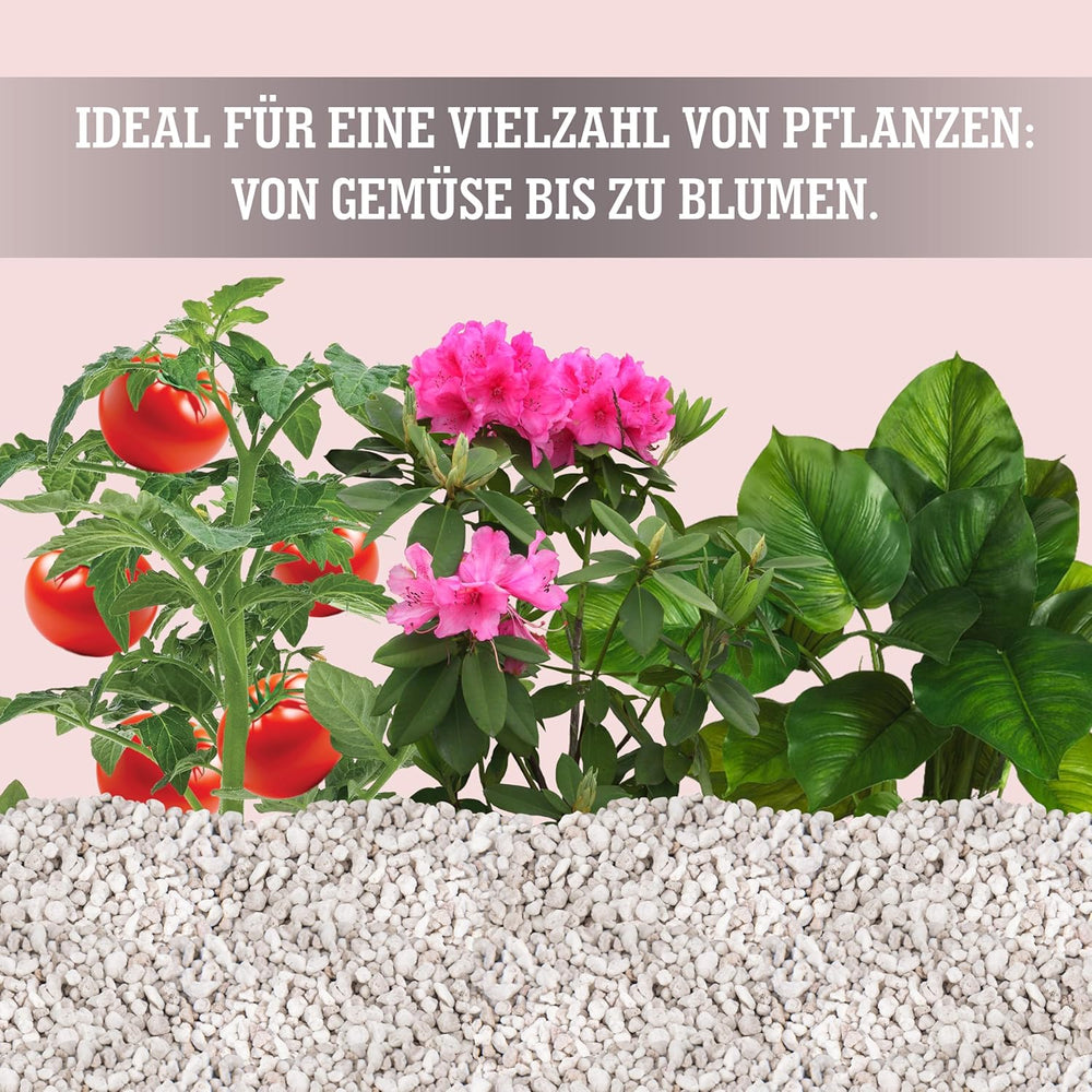 LERAVA® Perlita para Plantas (5L) – Perlita de grano grueso para la mejora del suelo – Garantiza un drenaje y aireación óptimos – Aditivo natural para suelos e hidroponía – Gránulos para plantas