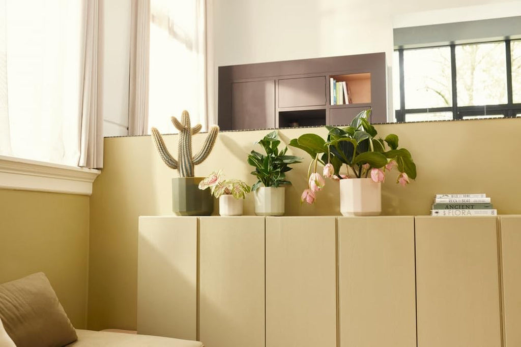 Ghiveci rotund elho Facet 23cm - pentru interior - 100% plastic reciclat - Ø 22,7 x H 20,4 cm - Roz/Roz migdală