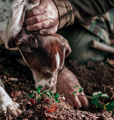 - Concentrado de sabor a trufa negra 30 ml, uso profesional Arome Naty Shop