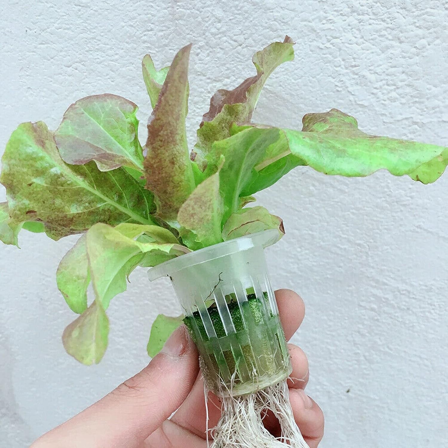 Kit de cultivo hidropónico Sistema de cultivo hidropónico de PVC 2 capas 72 orificios Kit de cultivo de sistema hidropónico Sistemas de cultivo de plantas sin suelo Sistema de cultivo hidropónico sin suelo en agua