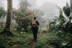 Cafea Arabica Tosepan din pădurea tropicală din Mexic 1000 g