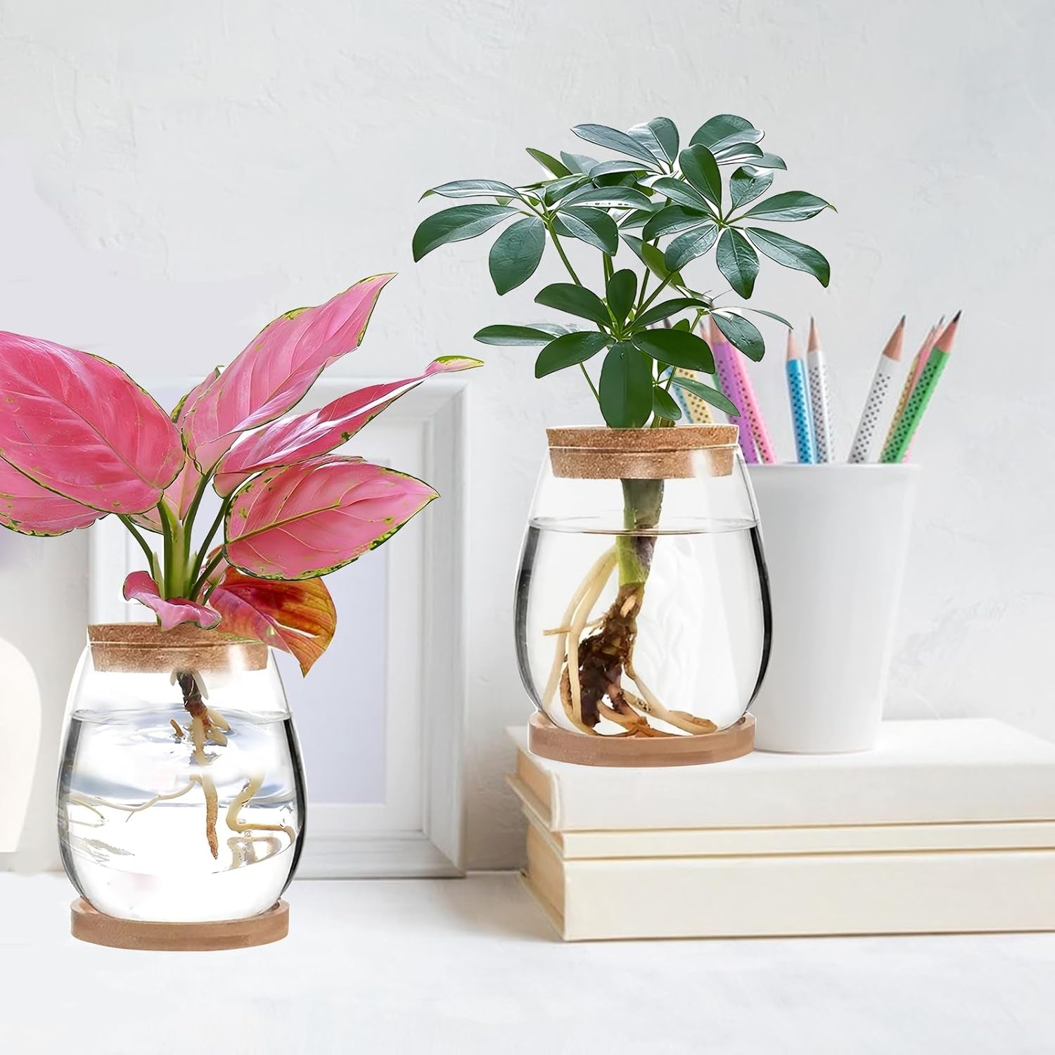 Estación de cultivo de plantas hidropónicas 12x11cm Florero de semillas de aguacate Macetero de vidrio Florero de vidrio hidropónico para plantas acuáticas o flores Decoración de mesa de escritorio 2 piezas