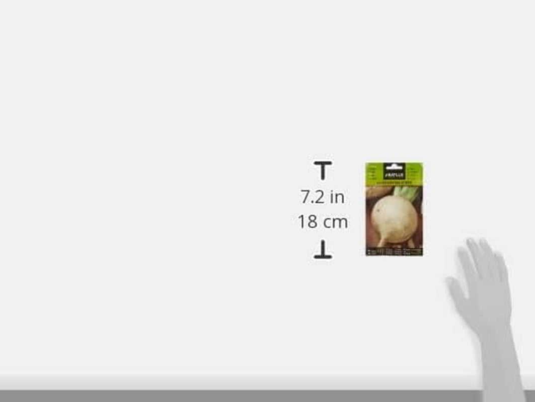 Batlle Gemüsesamen - Runde Weisse Rübe Bola De Nieve (9300 Samen)