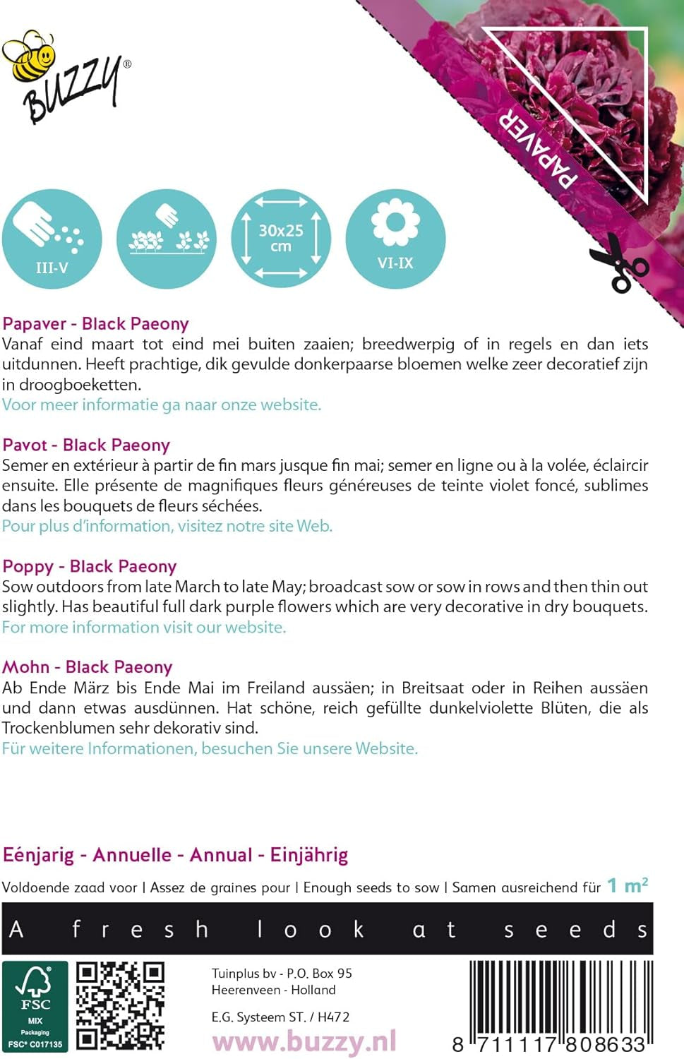 Flores de Buzzy Poppy, Paeony de amapola negra