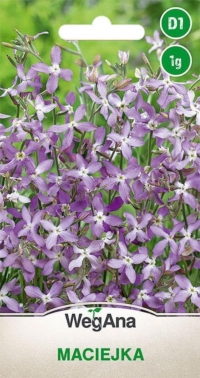 Cosmos Sensation Mix 1g semillas, Cosmos Mix Flores de verano, Plantas de jardín Plantas de balcón, Semillas de flores