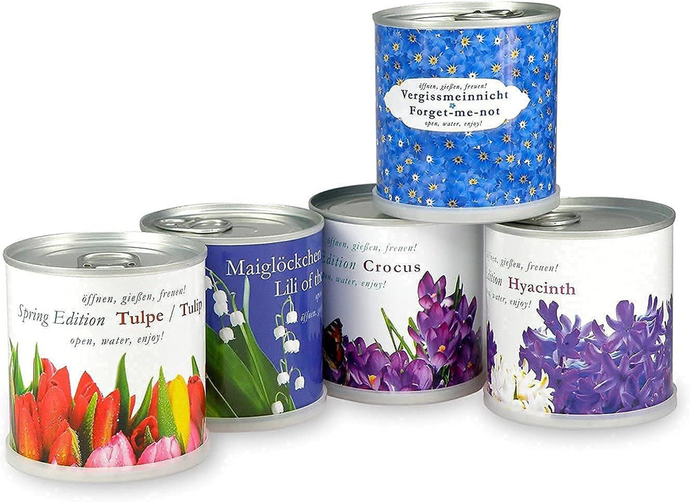 No me mires en una jardinera | Kit de crecimiento como regalo especial | Abrir, agua, disfrutar | Para despedirte o como agradecimiento.